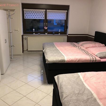 Apartment Franci Wiebelskirchen المظهر الخارجي الصورة